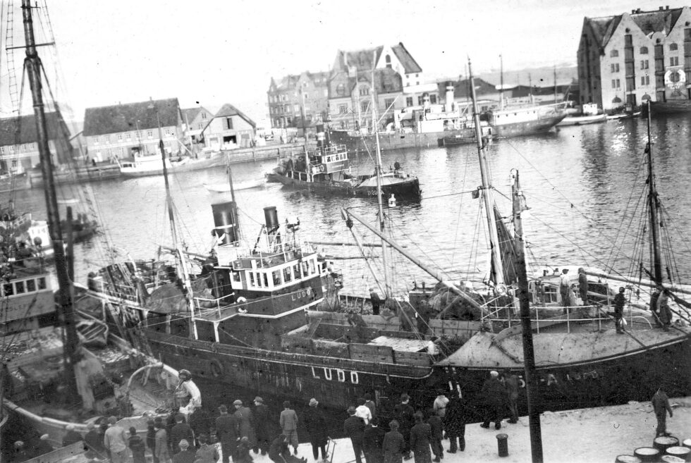En alminnelig sildedag om vinteren/våren en gang i siste halvpart av 1930-åra. Harald Paulsen har stått oppe i Brunholmgata 2 denne gangen også. – Som vi ser, er det «Ludo» som inntar den mest synbare plassen i forgrunnen av bildet. Fremme på bakken står det for øvrig en som har vært og hekka seg ei lita sildehank, enten på «Ludo» eller på båten ved siden av. – Harald Paulsen, altså den Harald-en som tok bilda, var opptatt av sild også på den åten at det var om å gjøre å få tak i «den første silda for sesongen», til steiking, før alle andre. Og med si strategiske plassering på Brunholmen, hadde han store sjanser til å greie det. – Det er vår tids Harald (Johs.)Paulsen som har vært så elskverdig å låne oss bilda.
