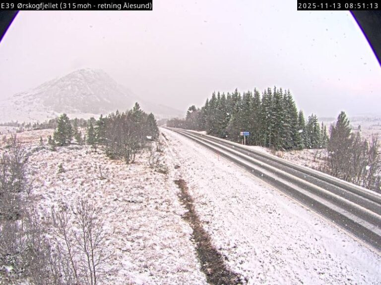 Snø på Ørskogfjellet torsdag morgen. Foto: STATENS VEGVESEN / WEBKAMERA