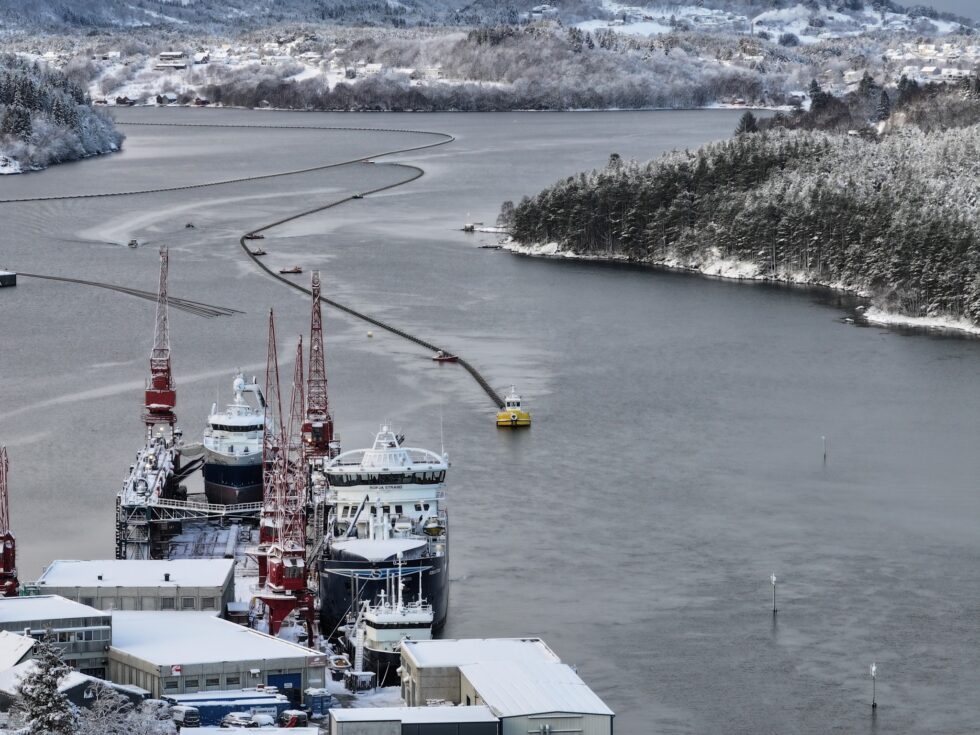 Torsdagens slep av sjøledning i Vegsundvågen. Foto: Blå - fjordar for framtida