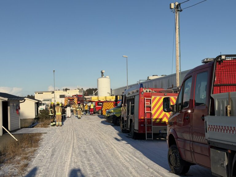 Foto: Anne Solveig B. Trandal