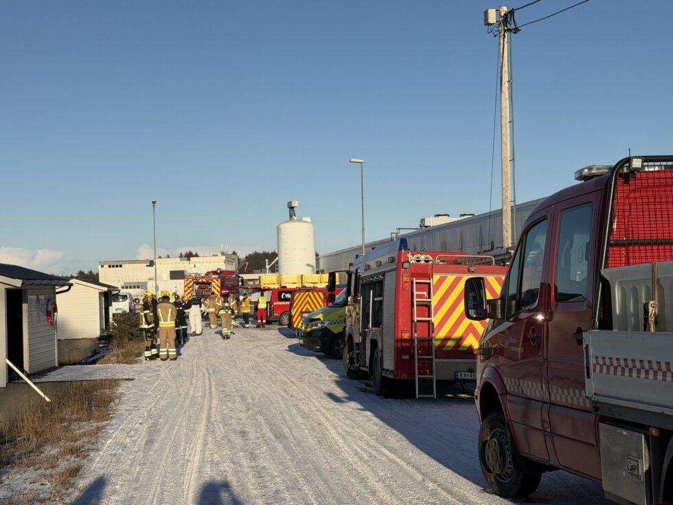 Foto: Anne Solveig B. Trandal